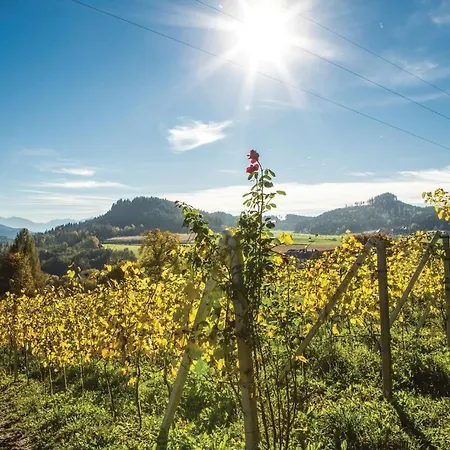 Two-bedroom In St. Georgen Am Langsee * Toplach